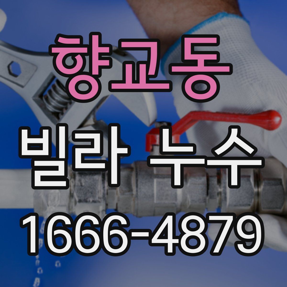향교동 빌라 누수