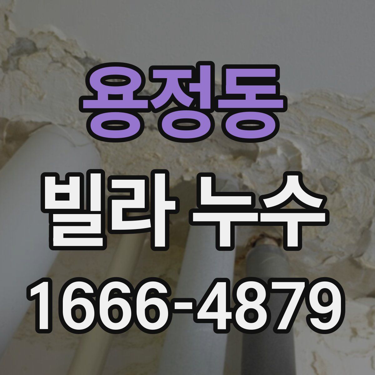 용정동 빌라 누수