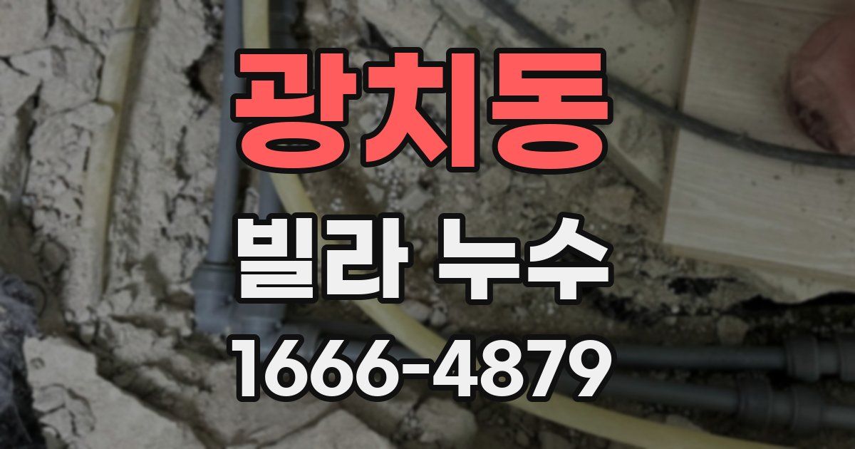 광치동 빌라 누수