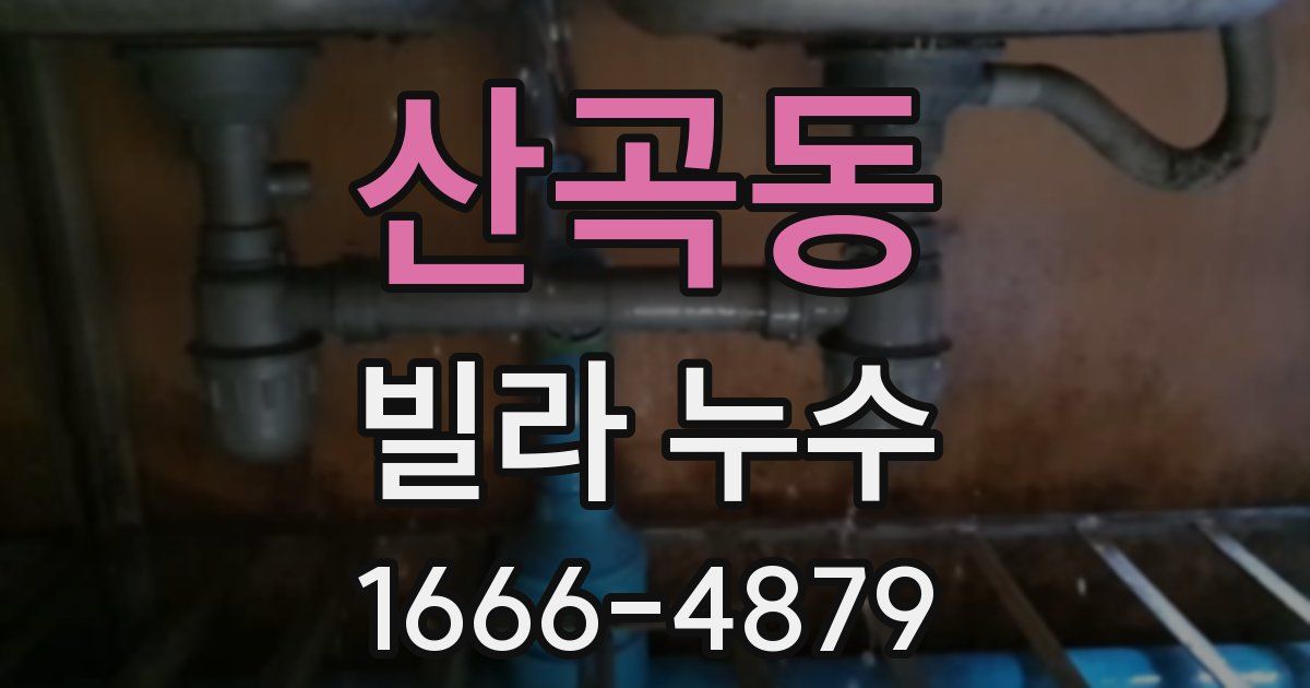 산곡동 빌라 누수