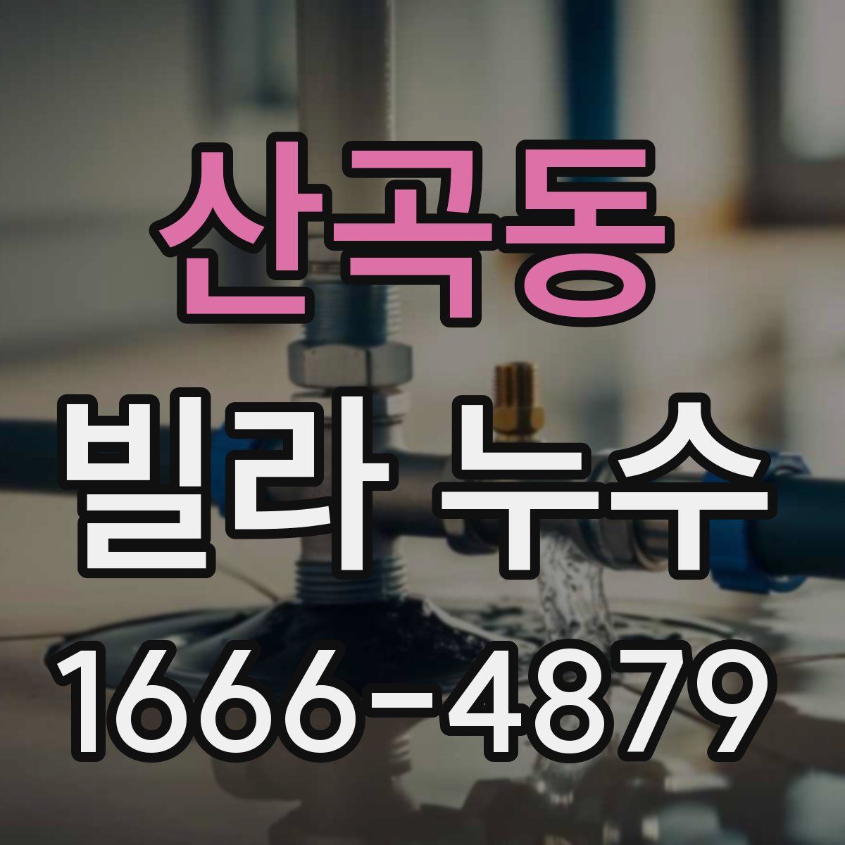 산곡동 빌라 누수