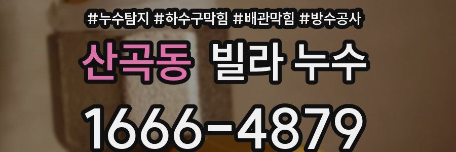 산곡동 빌라 누수