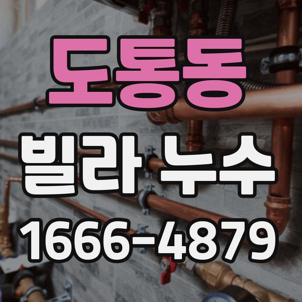 도통동 빌라 누수
