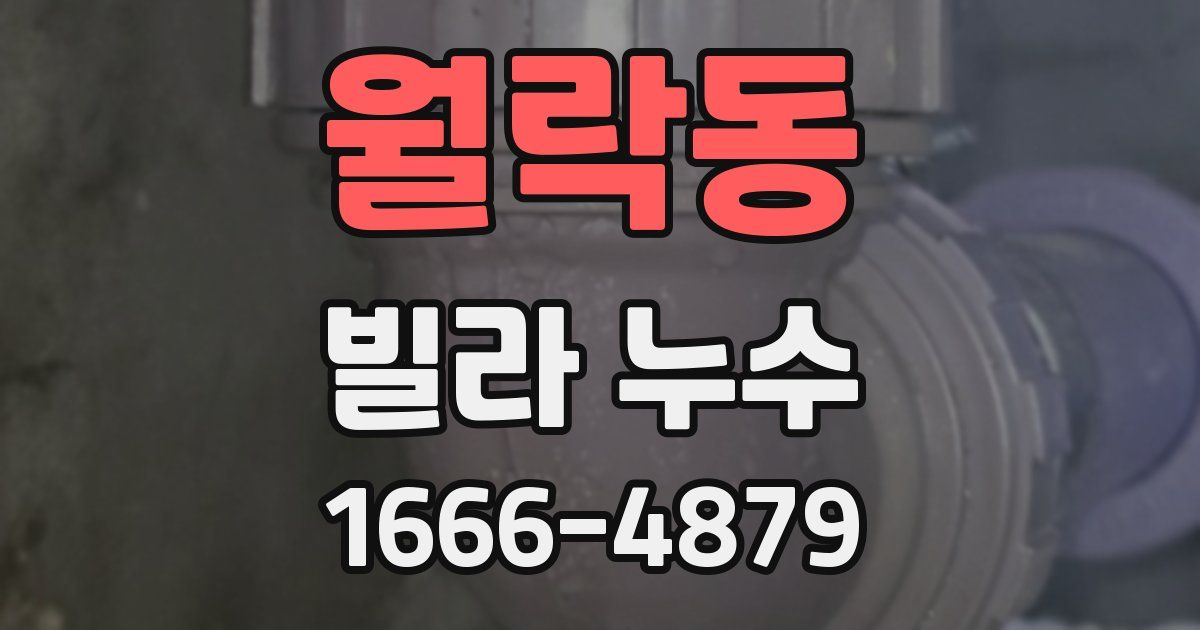 월락동 빌라 누수