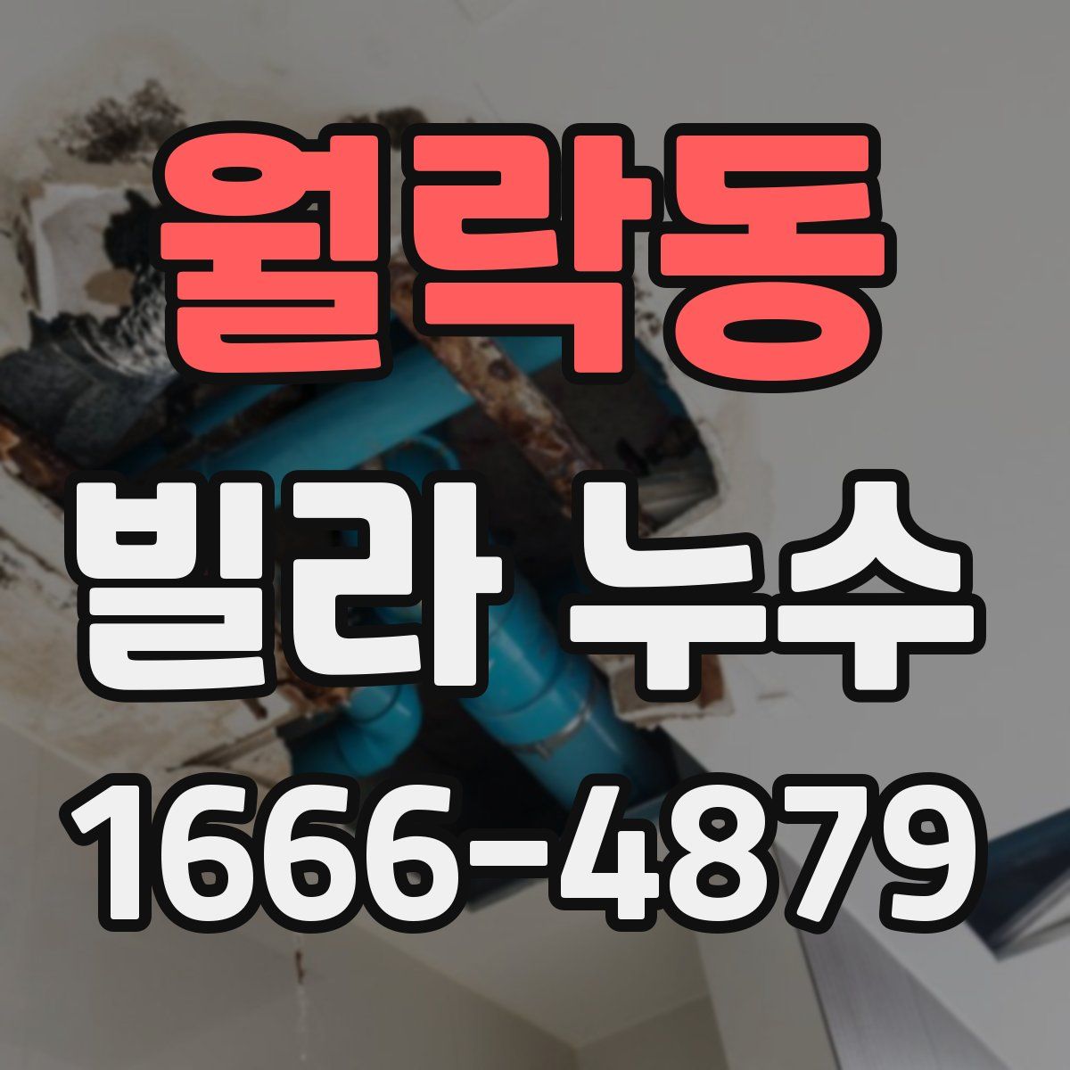 월락동 빌라 누수