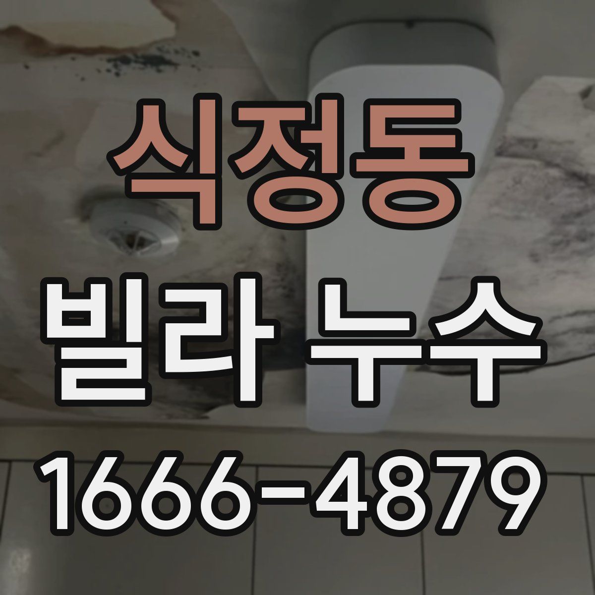 식정동 빌라 누수