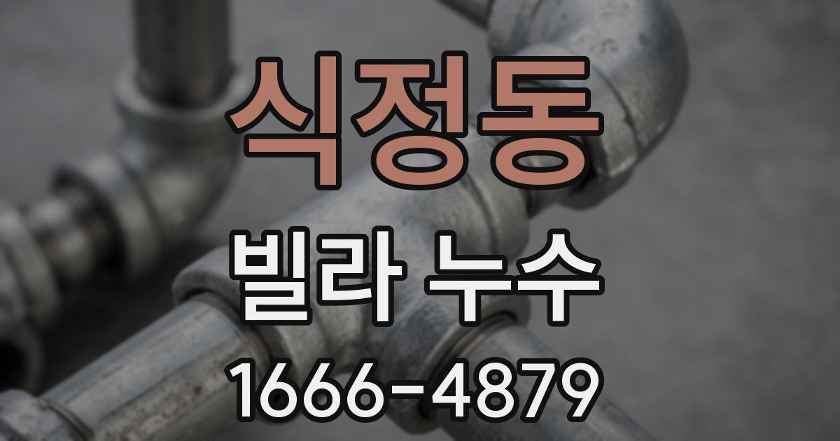 식정동 빌라 누수