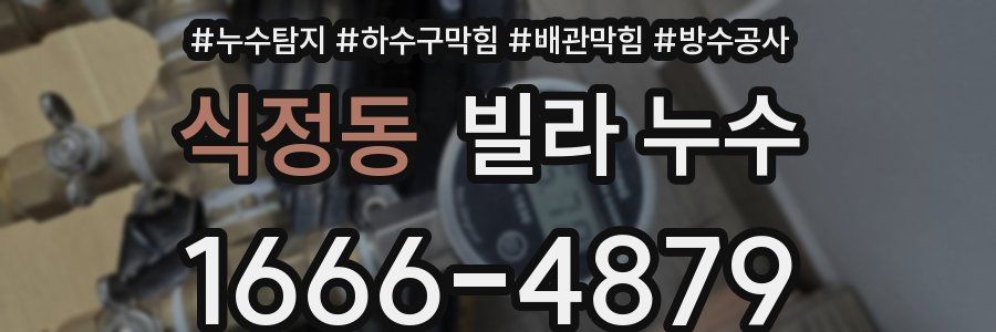 식정동 빌라 누수