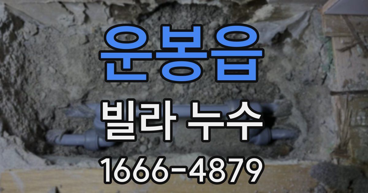 운봉읍 빌라 누수