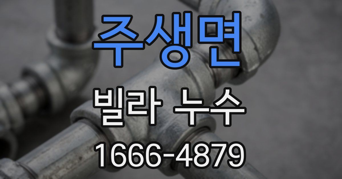 주생면 빌라 누수