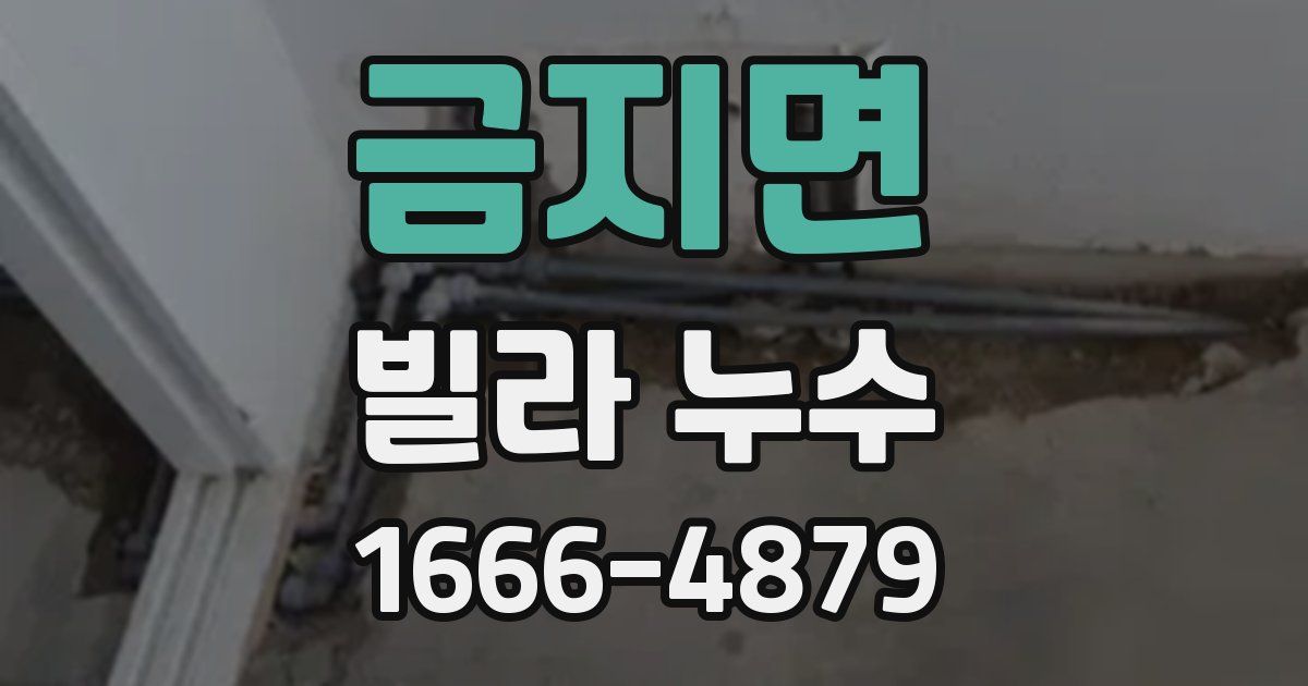 금지면 빌라 누수