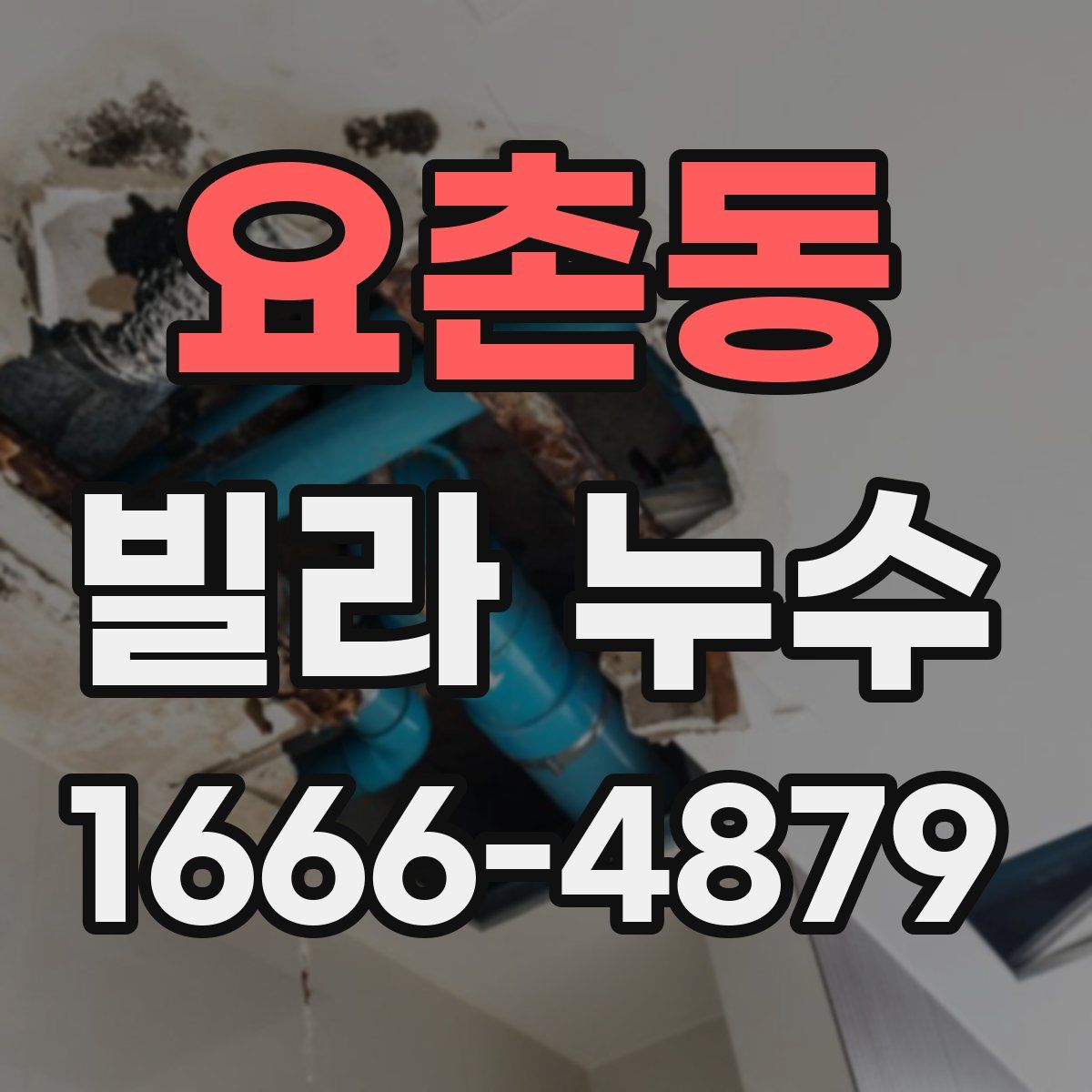 요촌동 빌라 누수