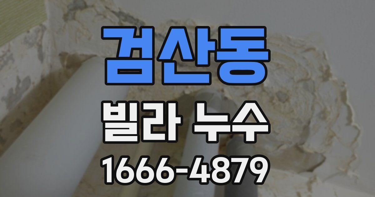 검산동 빌라 누수