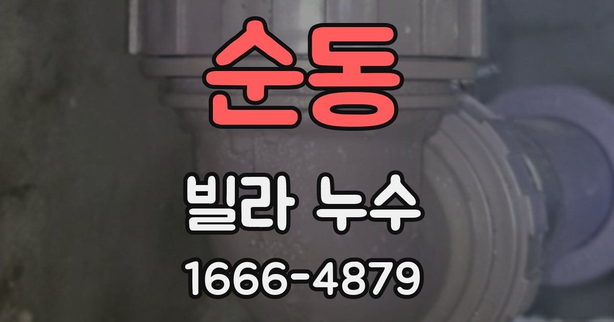 순동 빌라 누수