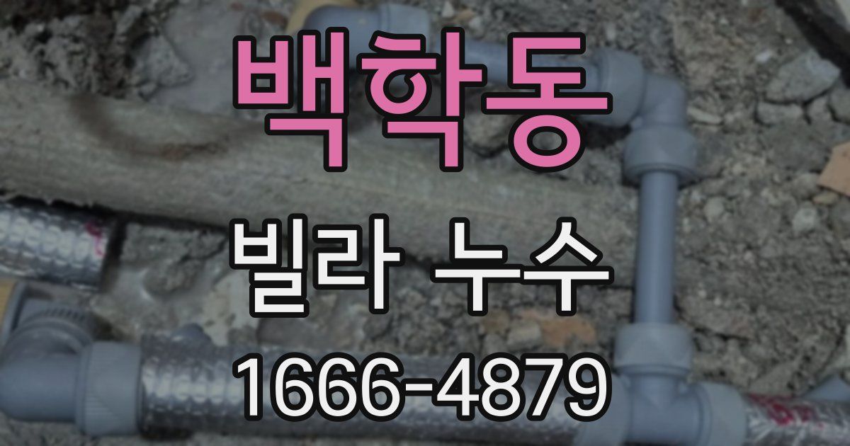백학동 빌라 누수