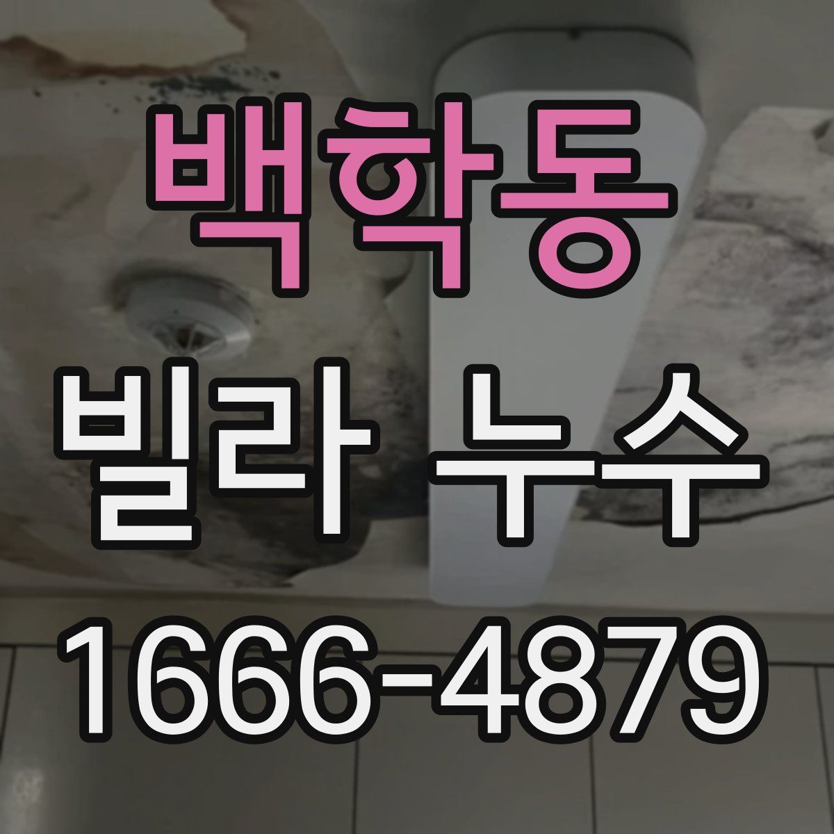 백학동 빌라 누수