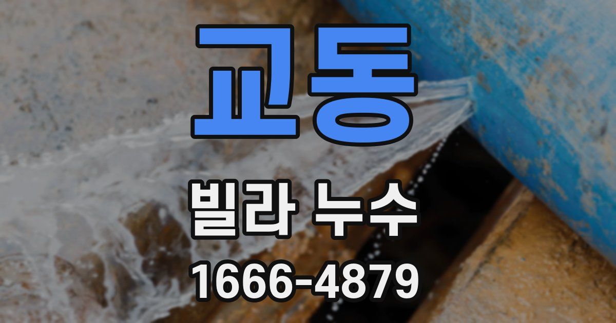 교동 빌라 누수