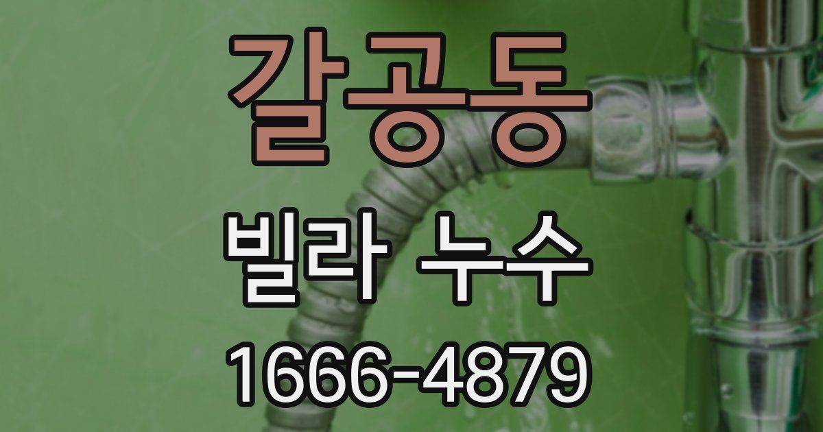 갈공동 빌라 누수