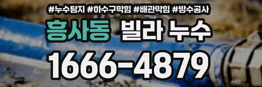 흥사동 빌라 누수