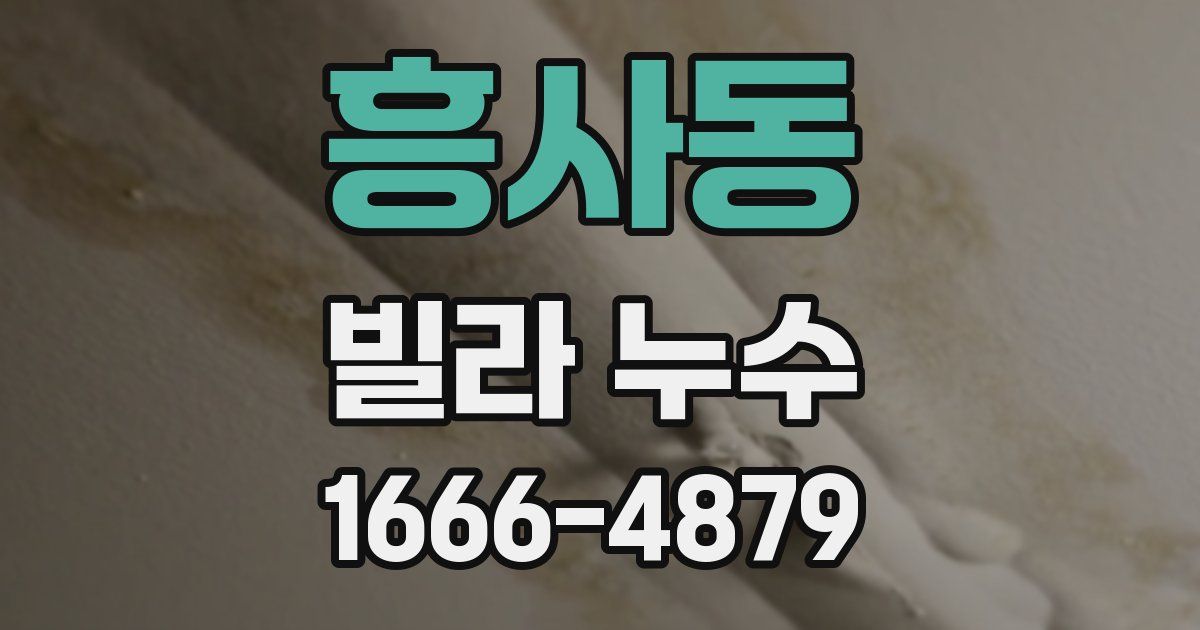 흥사동 빌라 누수