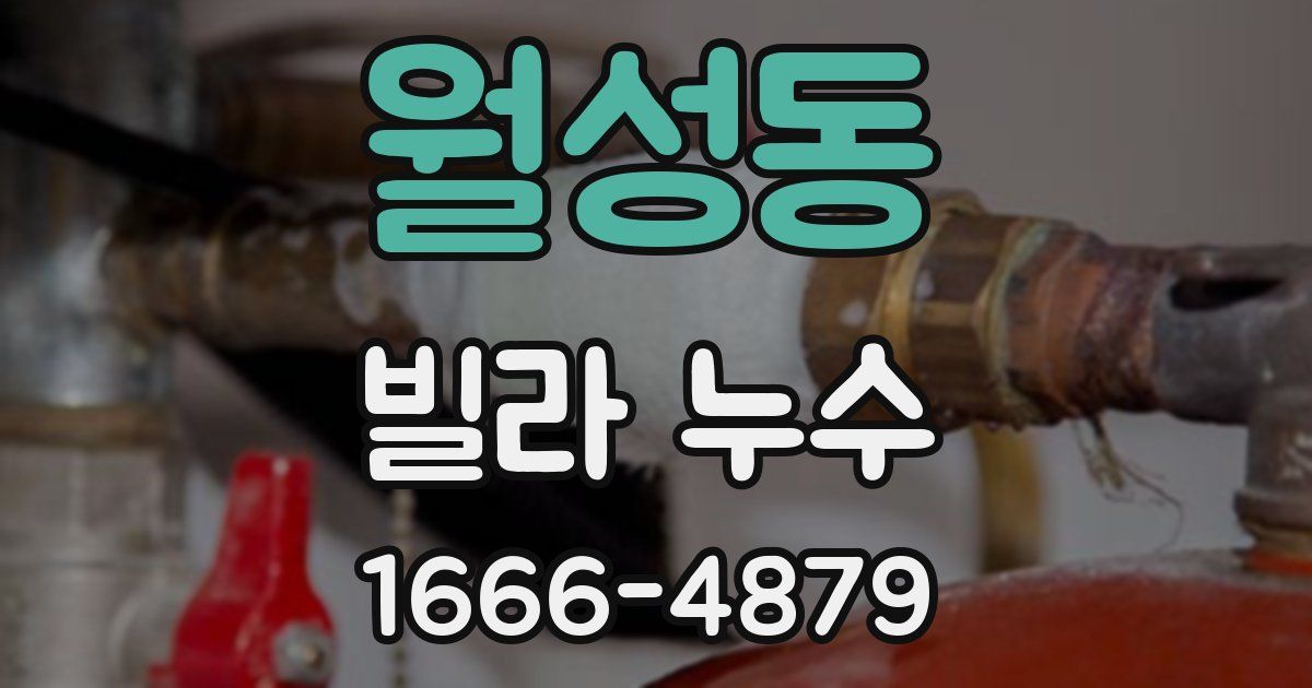 월성동 빌라 누수