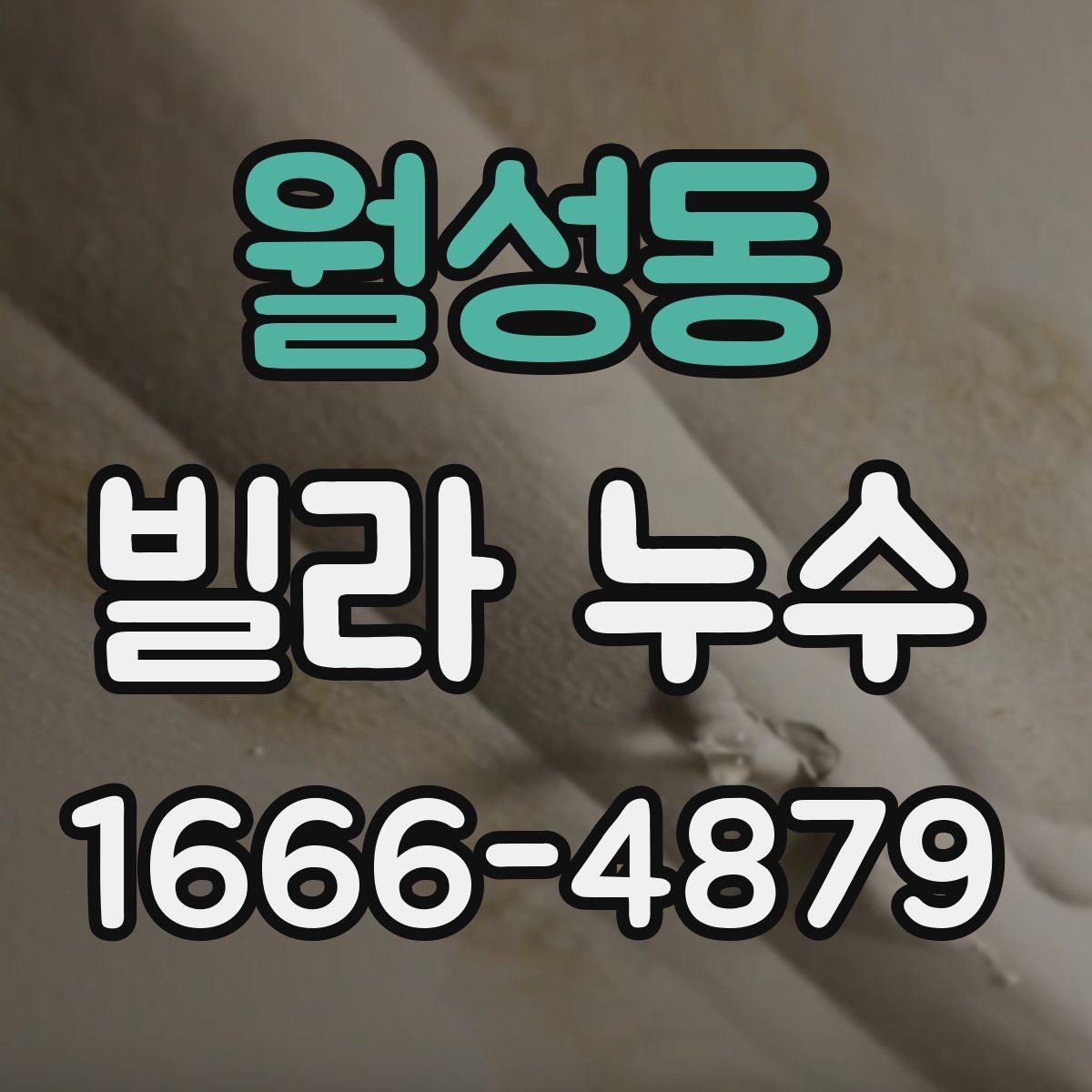 월성동 빌라 누수