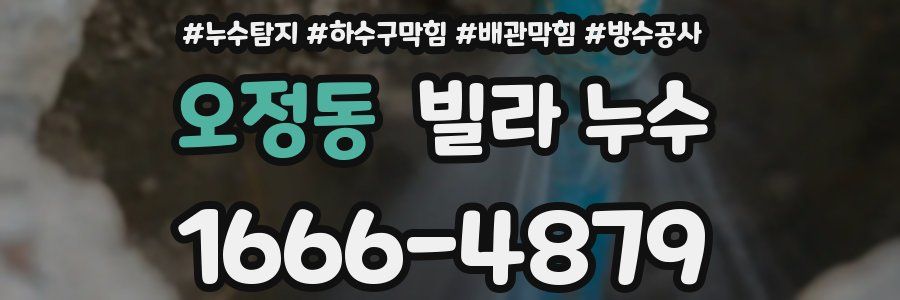 오정동 빌라 누수