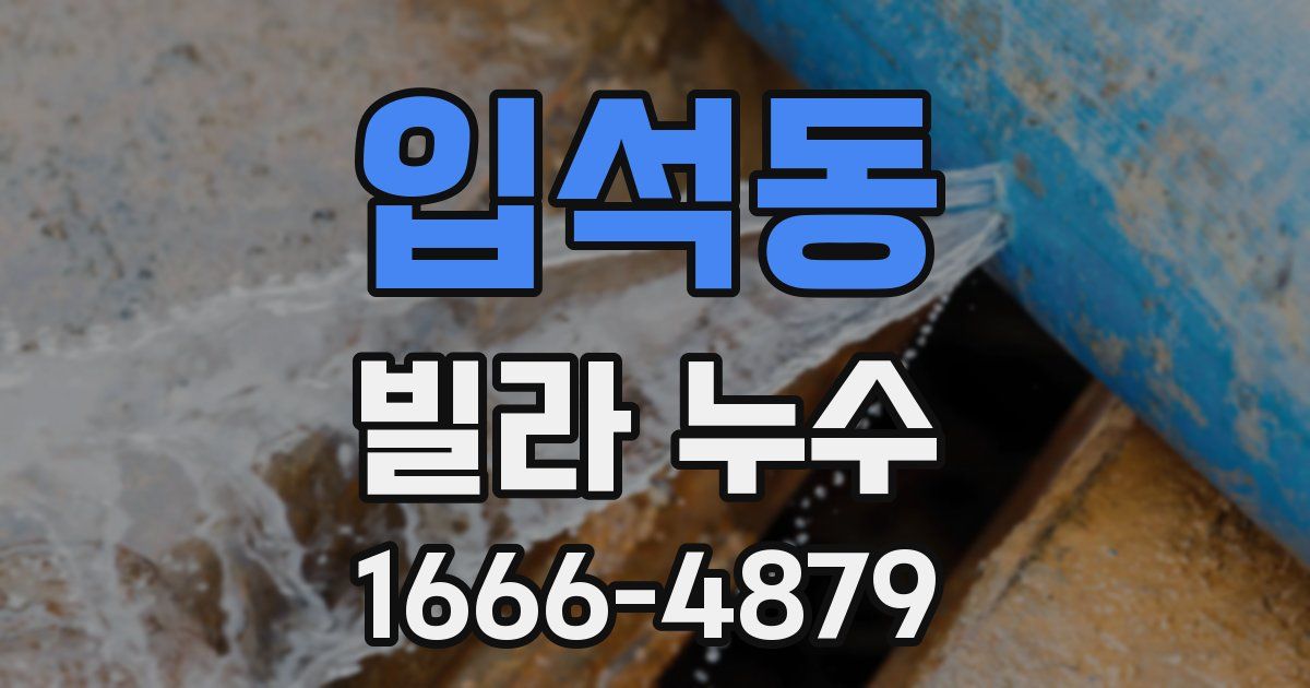 입석동 빌라 누수