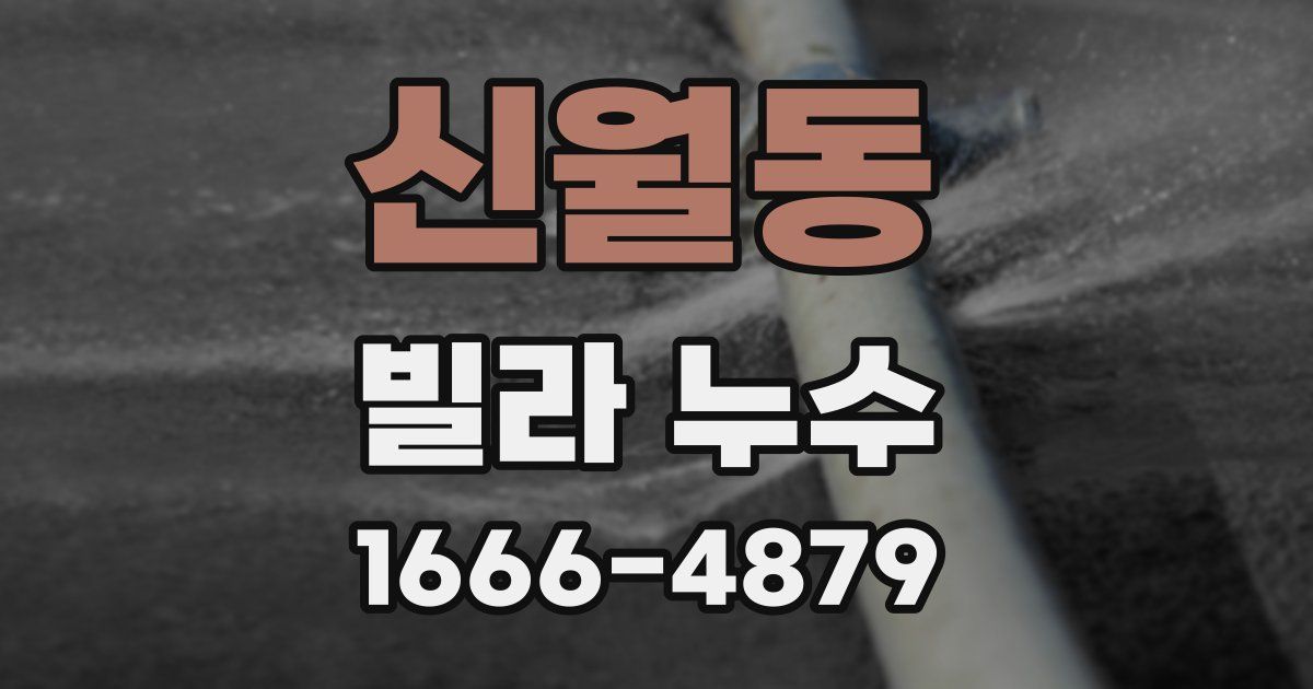 신월동 빌라 누수