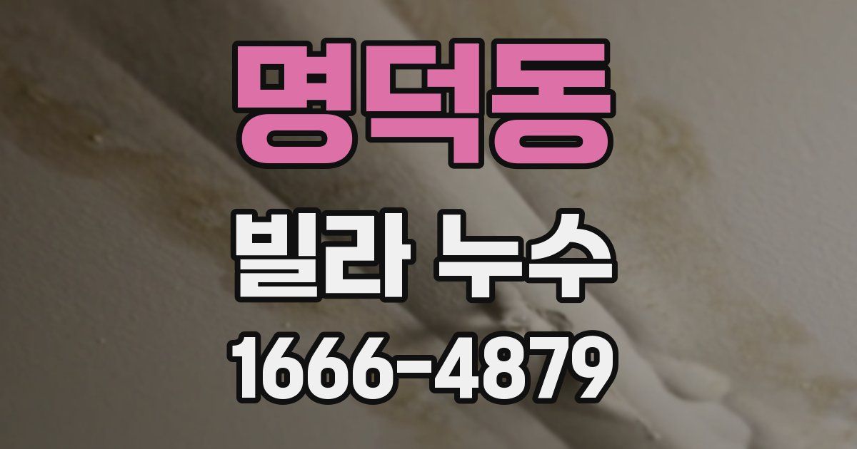 명덕동 빌라 누수