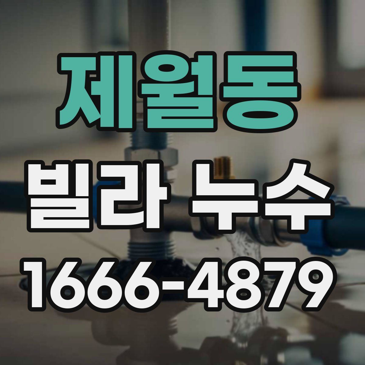 제월동 빌라 누수