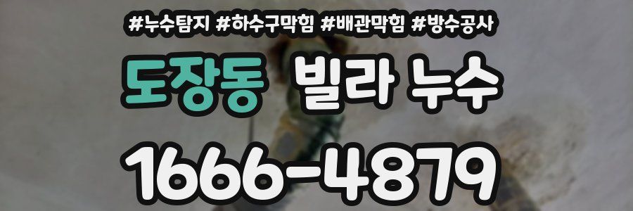도장동 빌라 누수