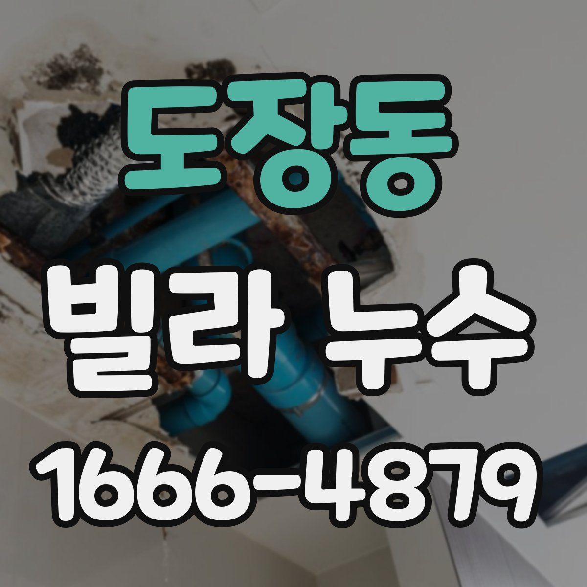도장동 빌라 누수