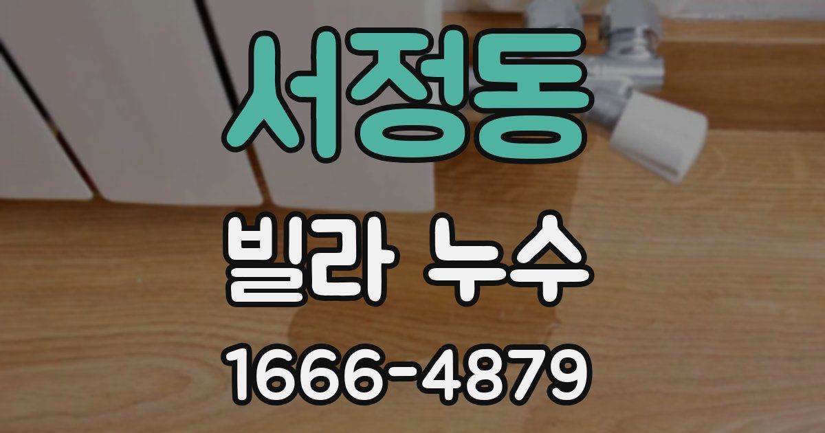 서정동 빌라 누수
