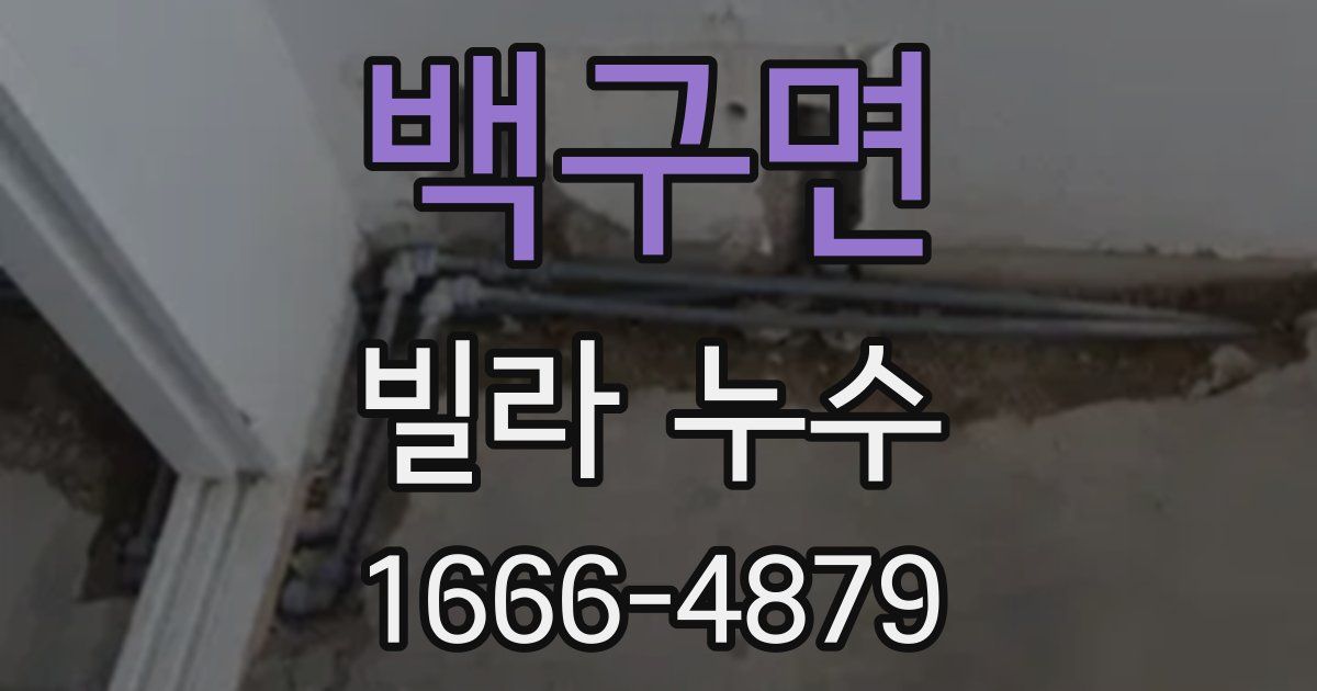 백구면 빌라 누수