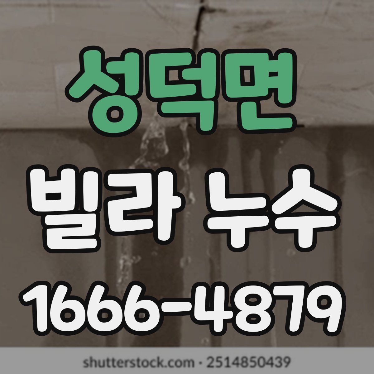 성덕면 빌라 누수