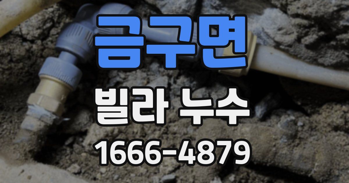 금구면 빌라 누수