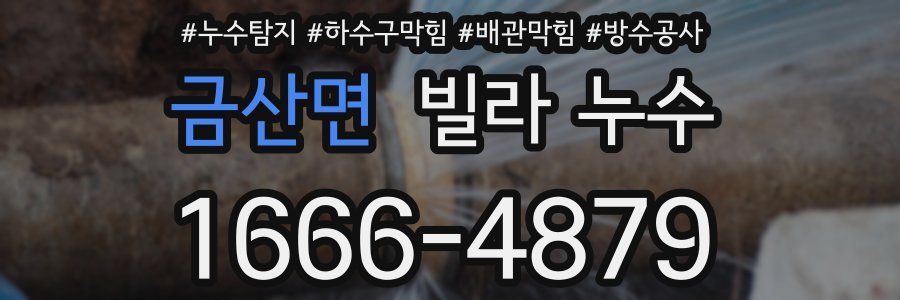 금산면 빌라 누수