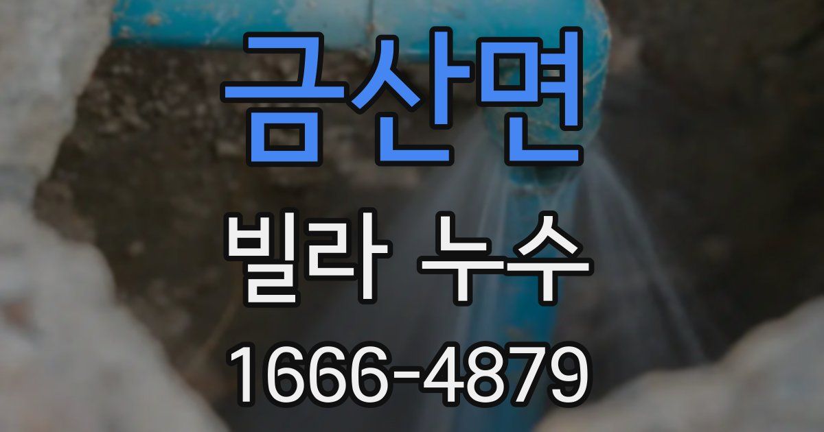 금산면 빌라 누수
