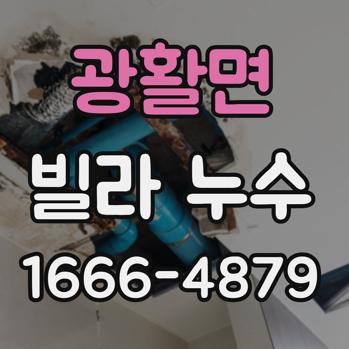 광활면 빌라 누수