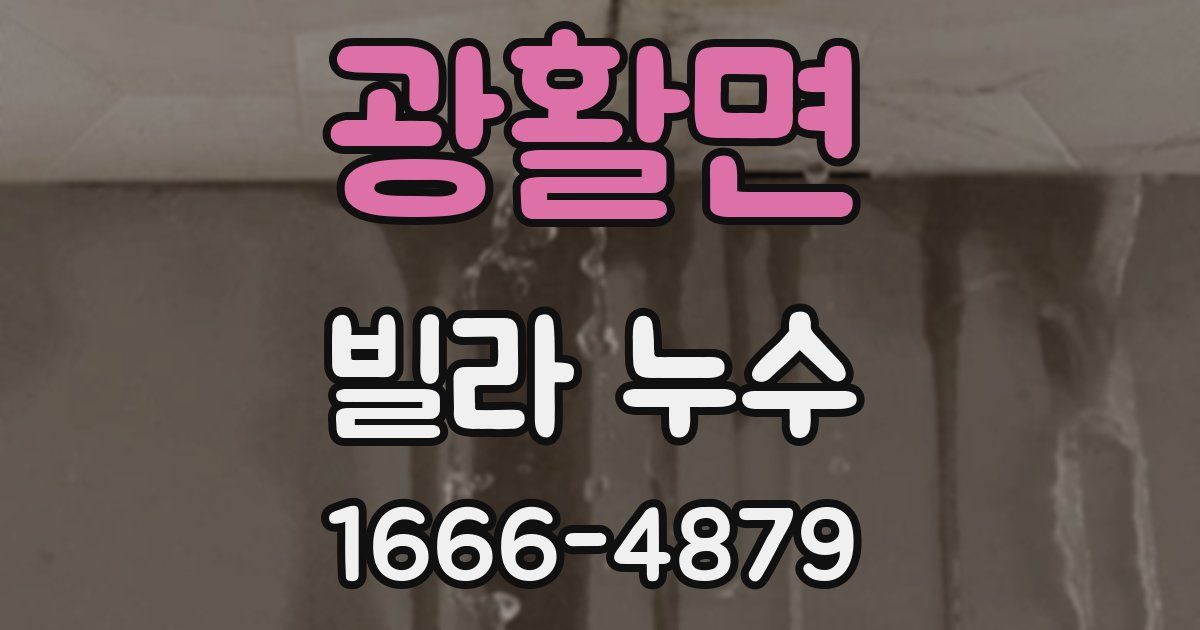 광활면 빌라 누수