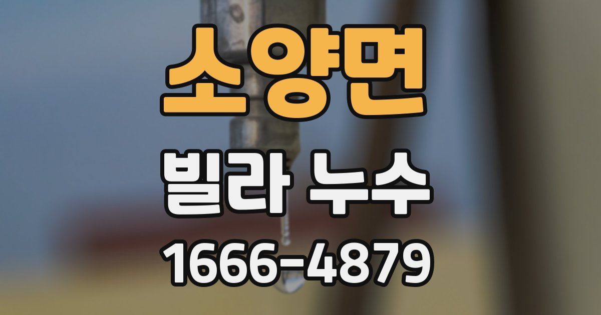 소양면 빌라 누수