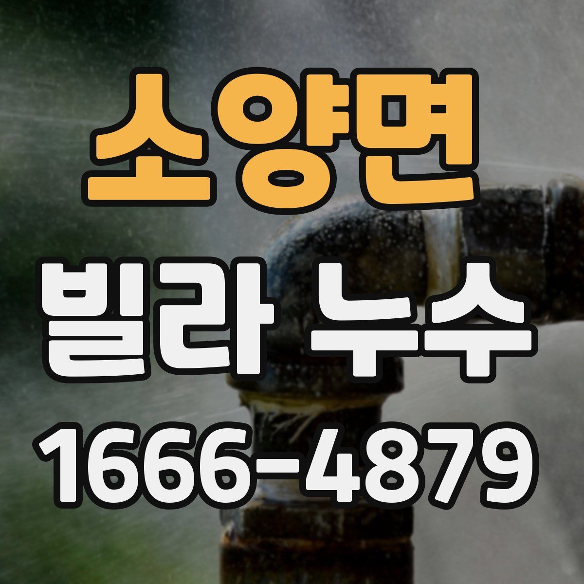 소양면 빌라 누수