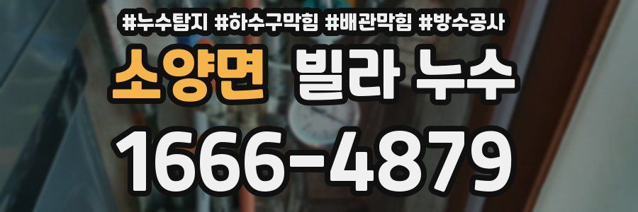 소양면 빌라 누수