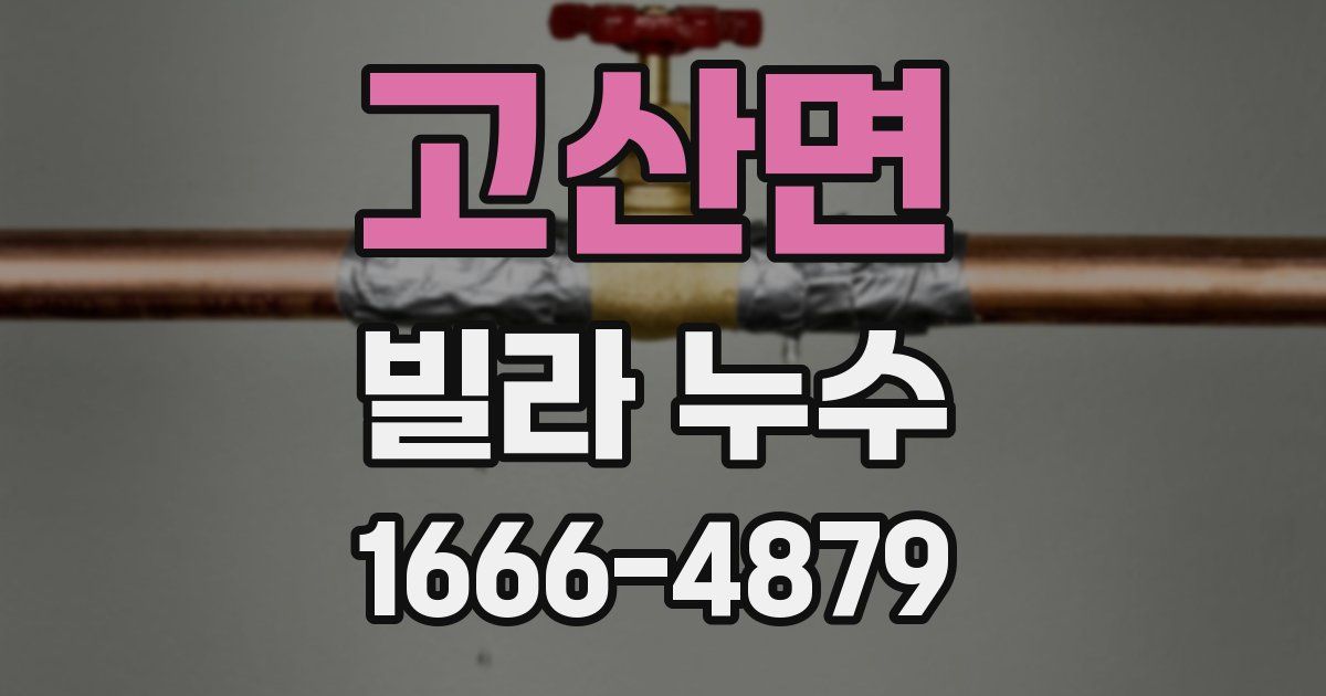 고산면 빌라 누수