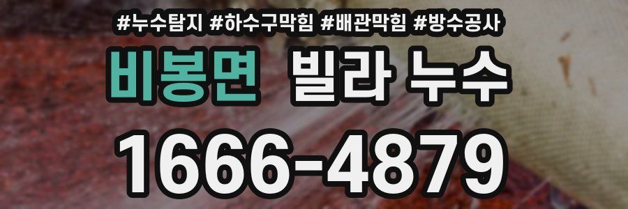 비봉면 빌라 누수