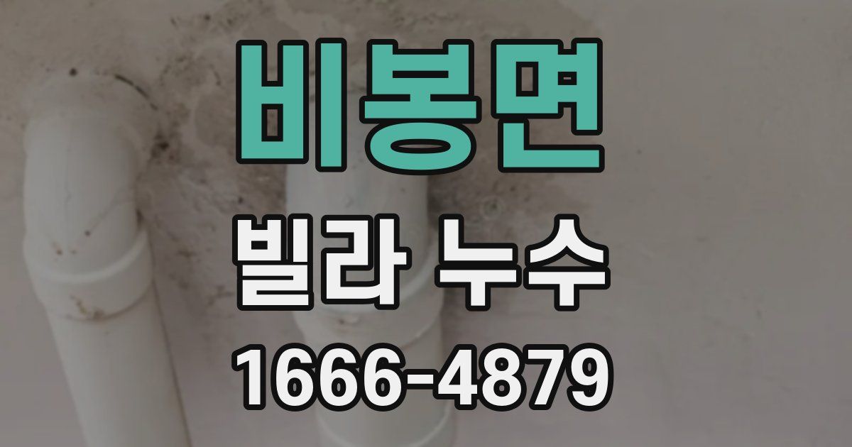 비봉면 빌라 누수