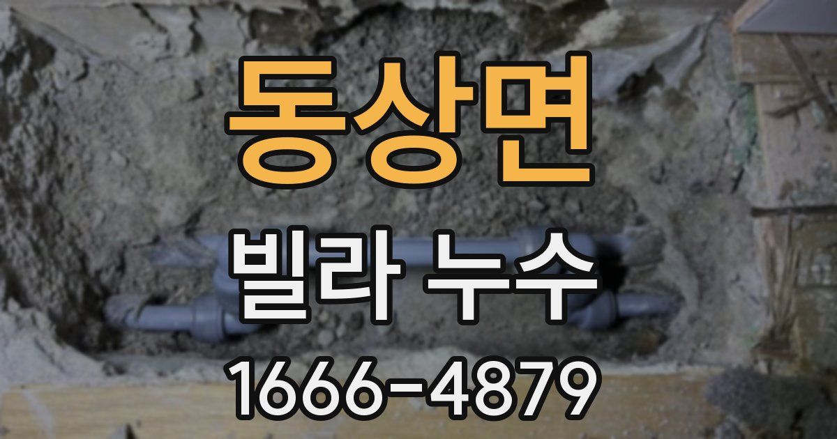 동상면 빌라 누수