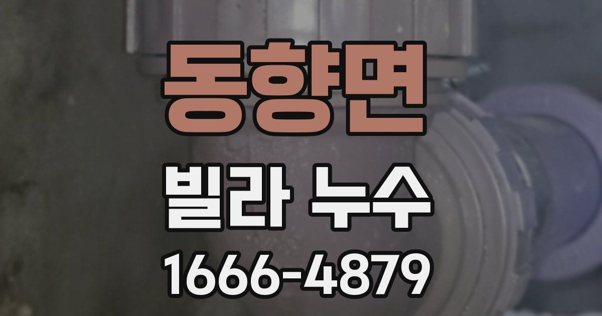 동향면 빌라 누수