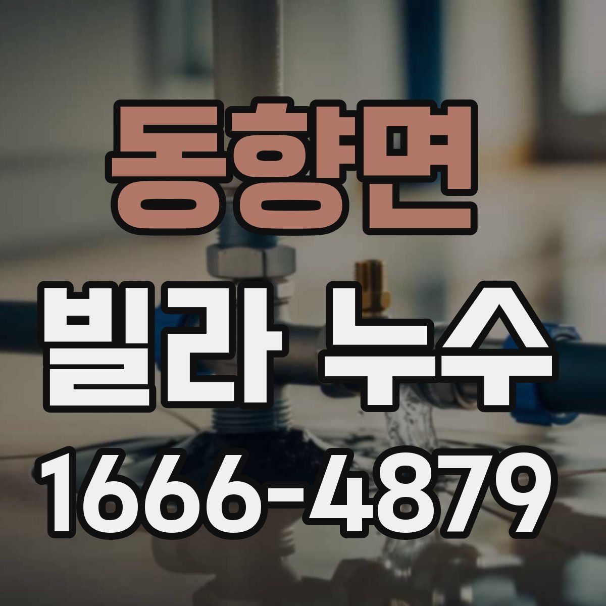 동향면 빌라 누수